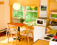 dining table with sunshine and greenery